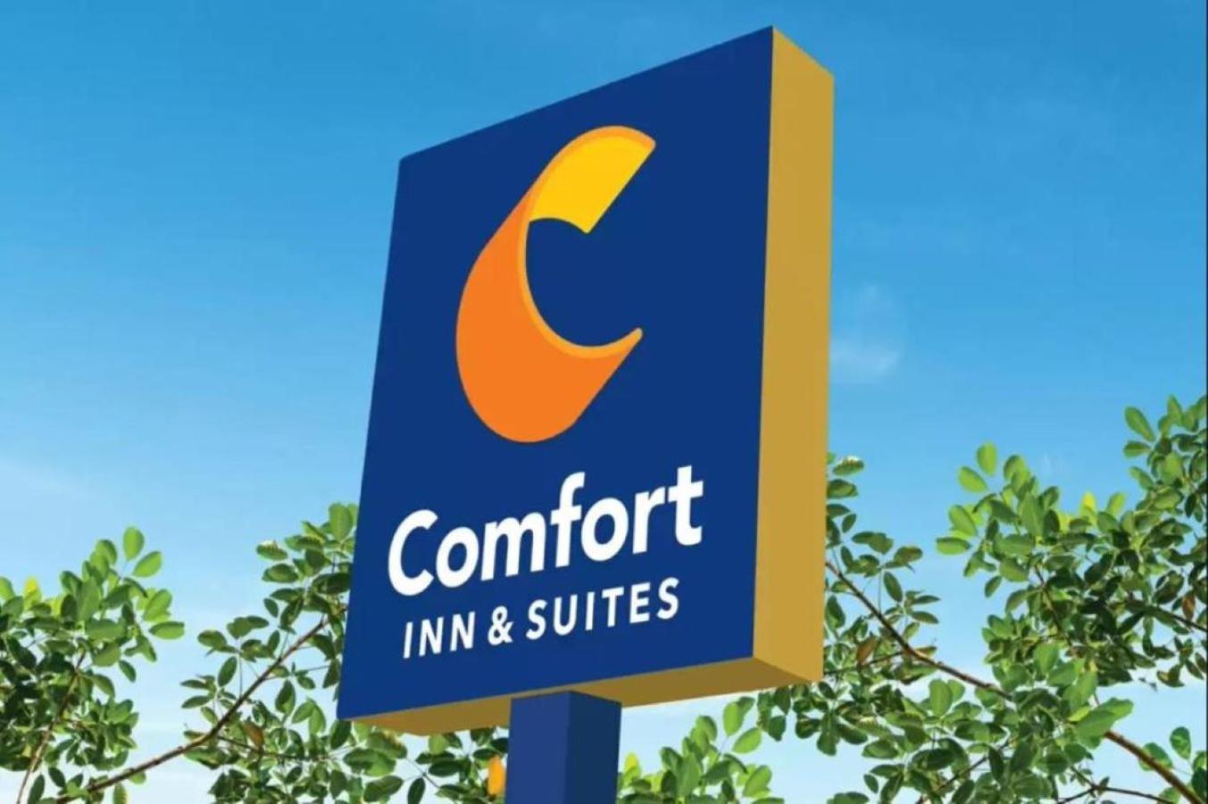 Comfort Inn & Suites Нашвил Екстериор снимка